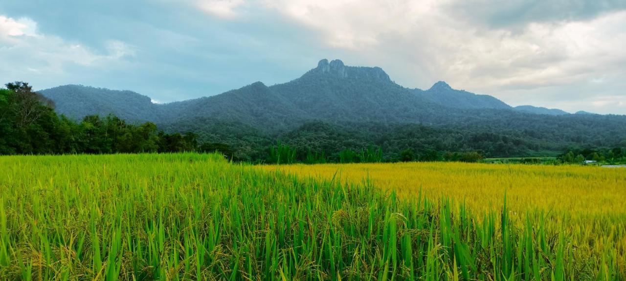 Pimpisa Garden พิมพิศา การ์เด้นท์ Villa Khuang Kom Dış mekan fotoğraf